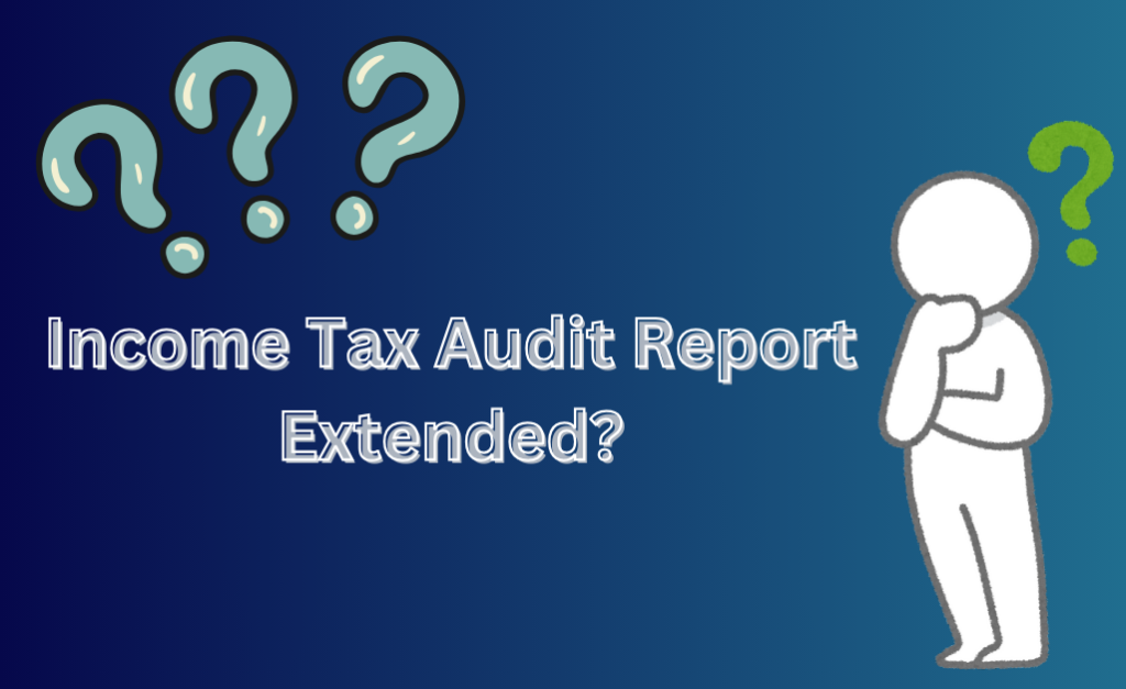 income tax audit