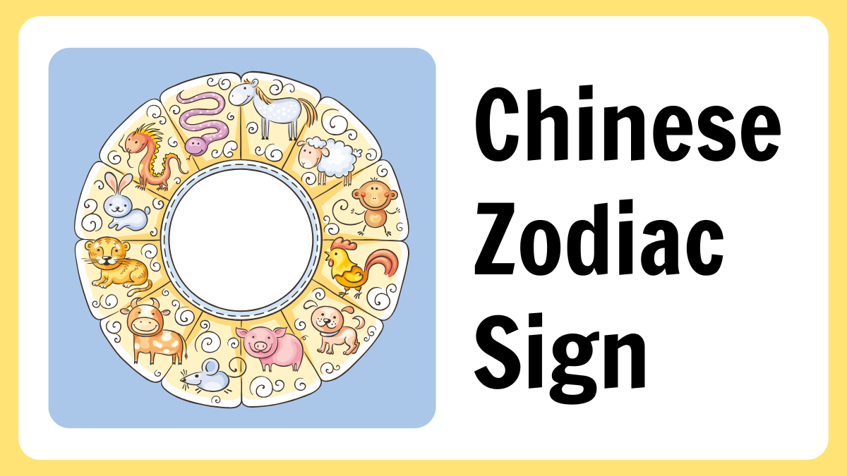 Chinese Lunar New Year 2025: Which Zodiac Signs Will See Extraordinary Wealth and Luck?